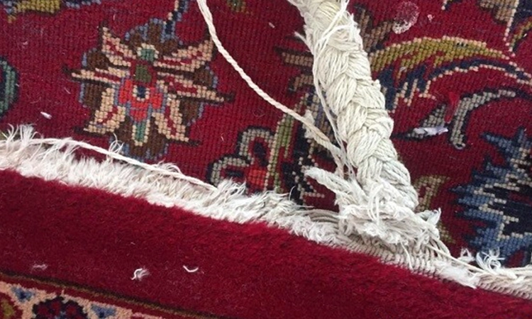 ریشه زنی
